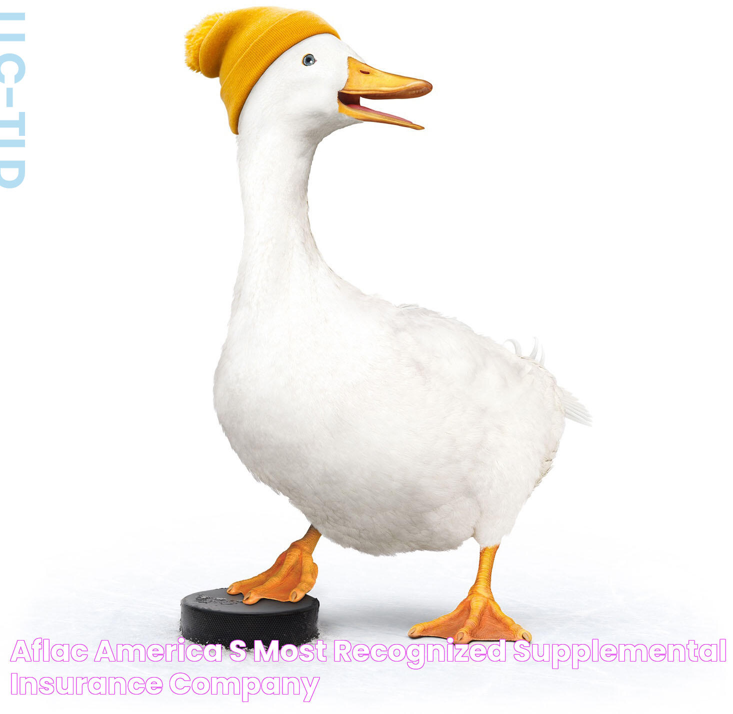 Aflac America's Most Recognized Supplemental Insurance Company