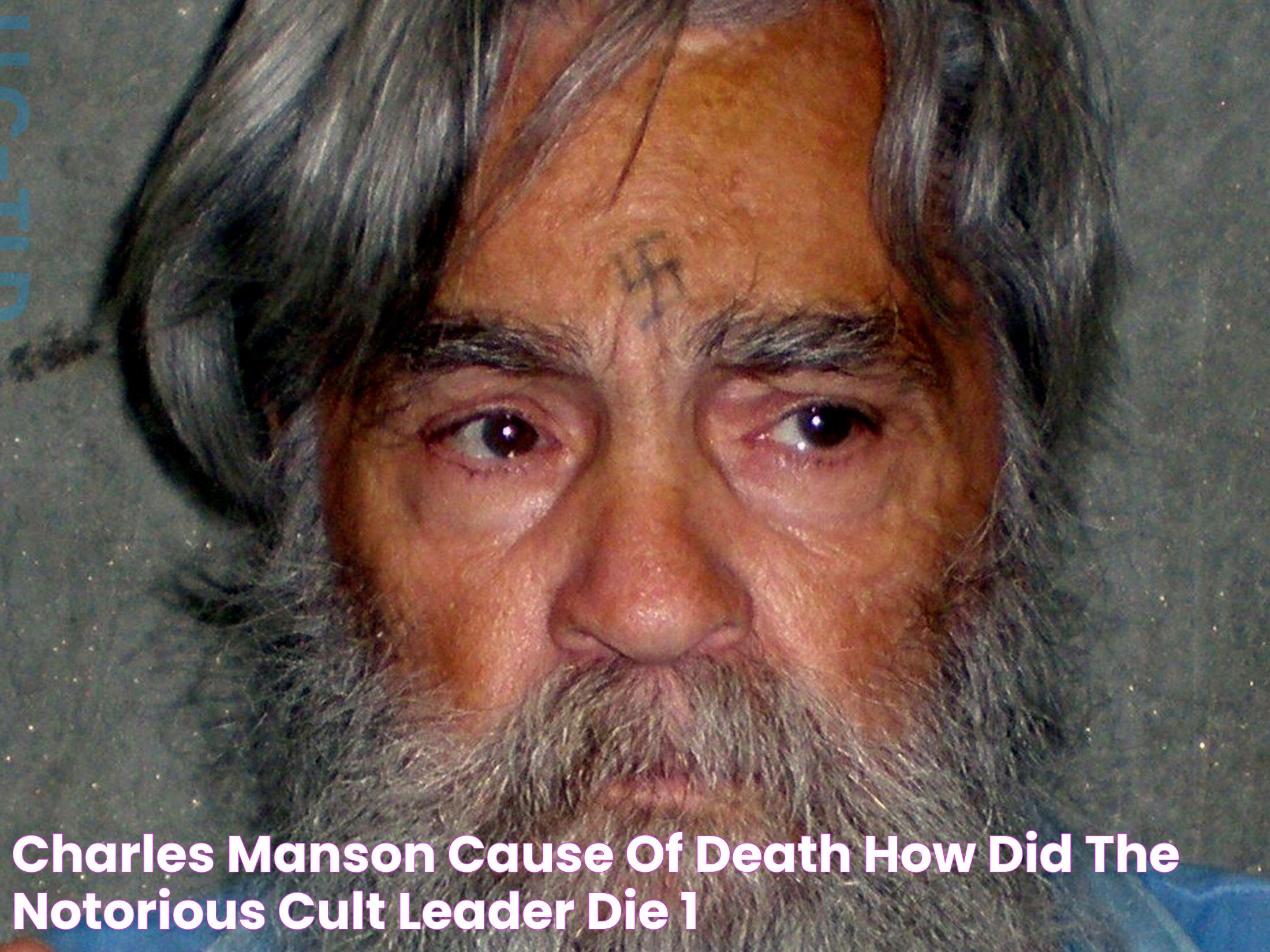 Charles Manson Cause of Death How Did the Notorious Cult Leader Die?