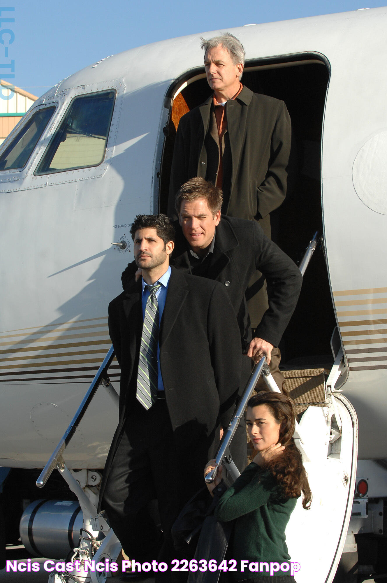 NCIS cast NCIS Photo (2263642) Fanpop