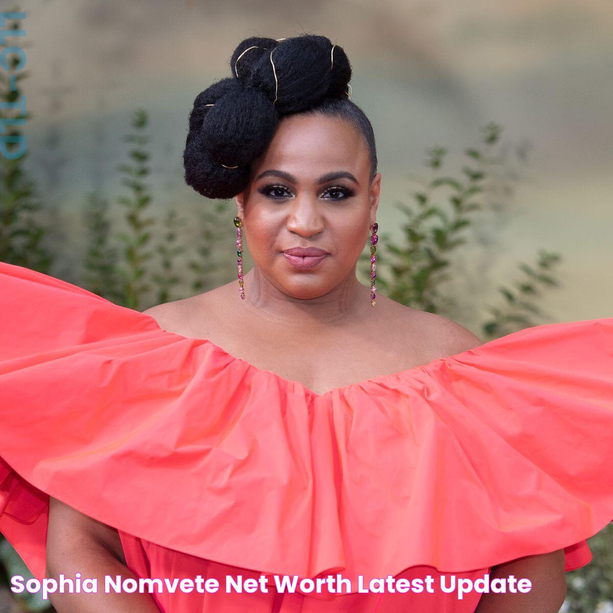 Sophia Nomvete Net Worth Latest Update