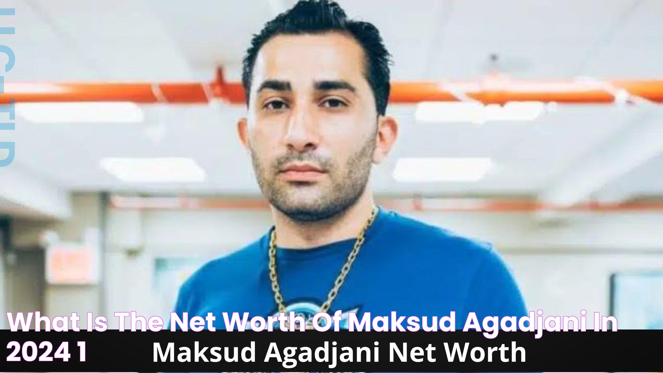 What Is The Net Worth Of Maksud Agadjani In 2024?