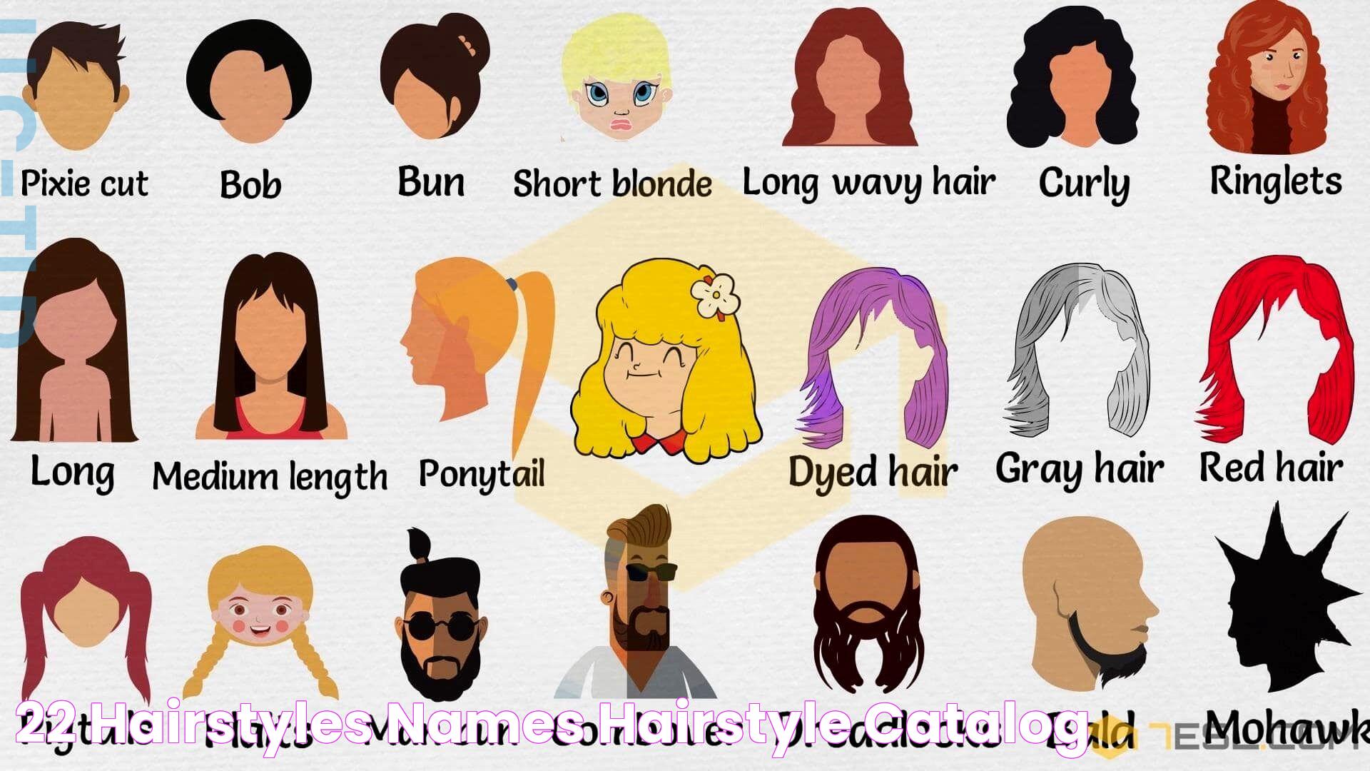 22+ Hairstyles Names Hairstyle Catalog