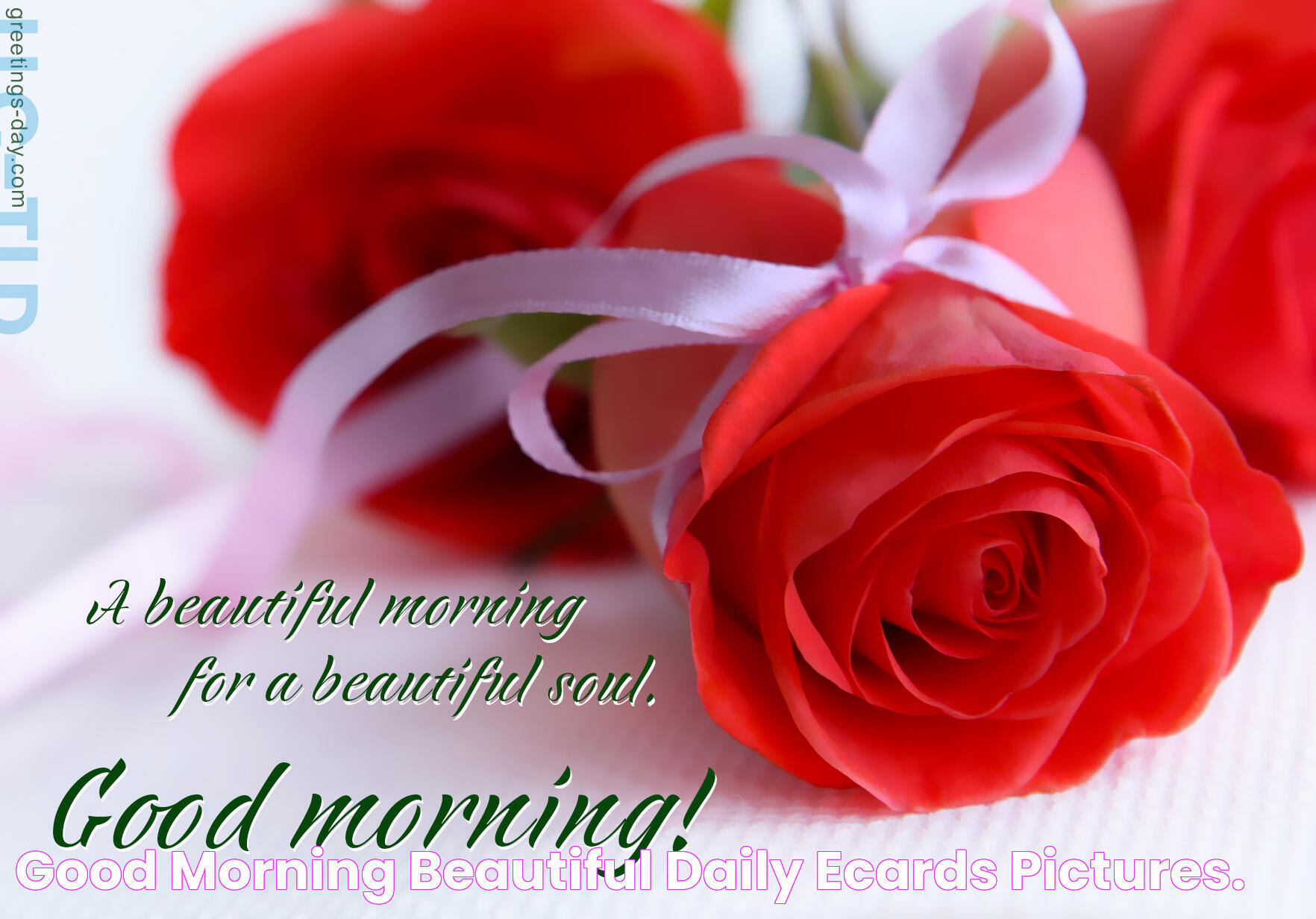 Good Morning Beautiful Daily Ecards & Pictures.