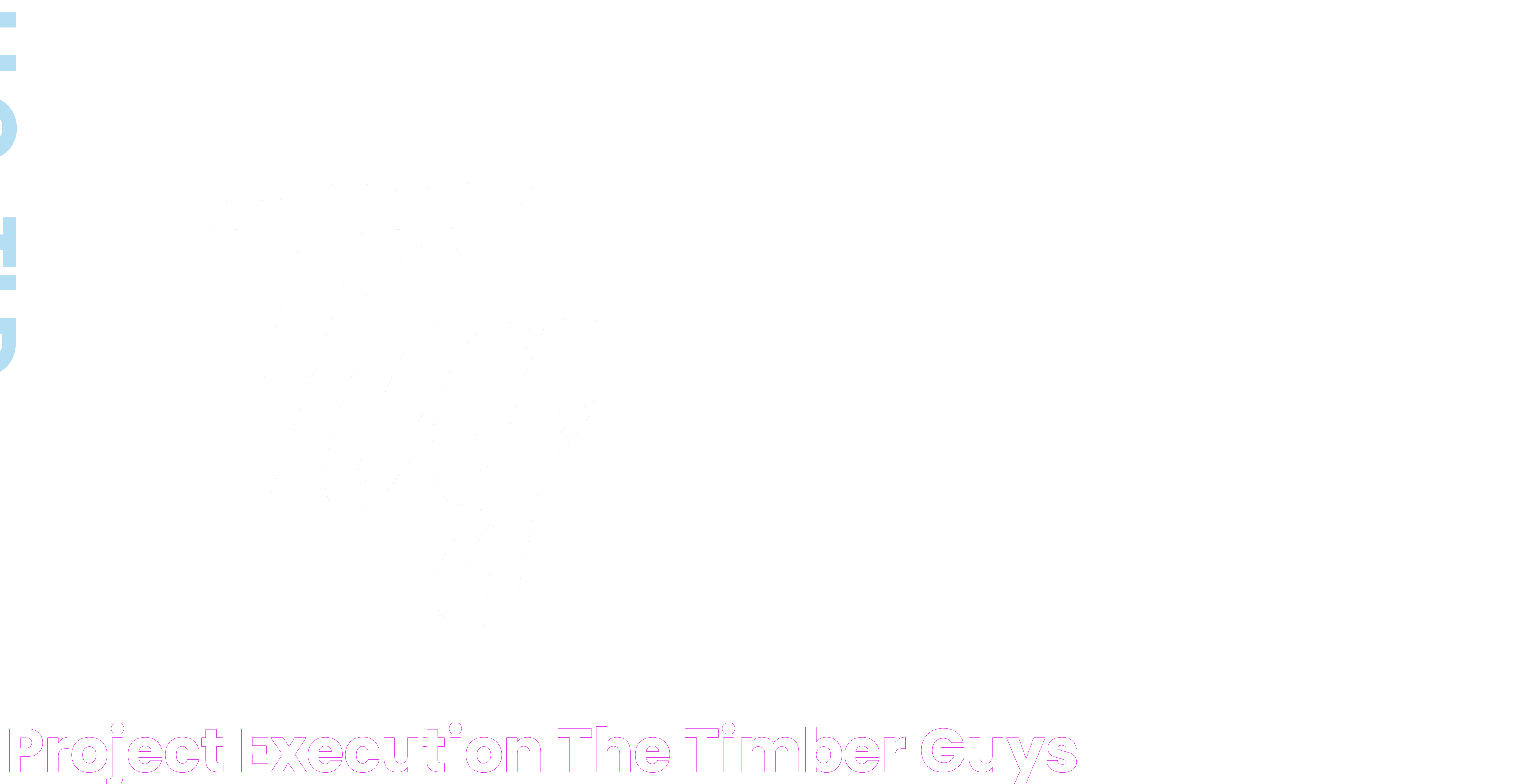 PROJECT EXECUTION The Timber Guys