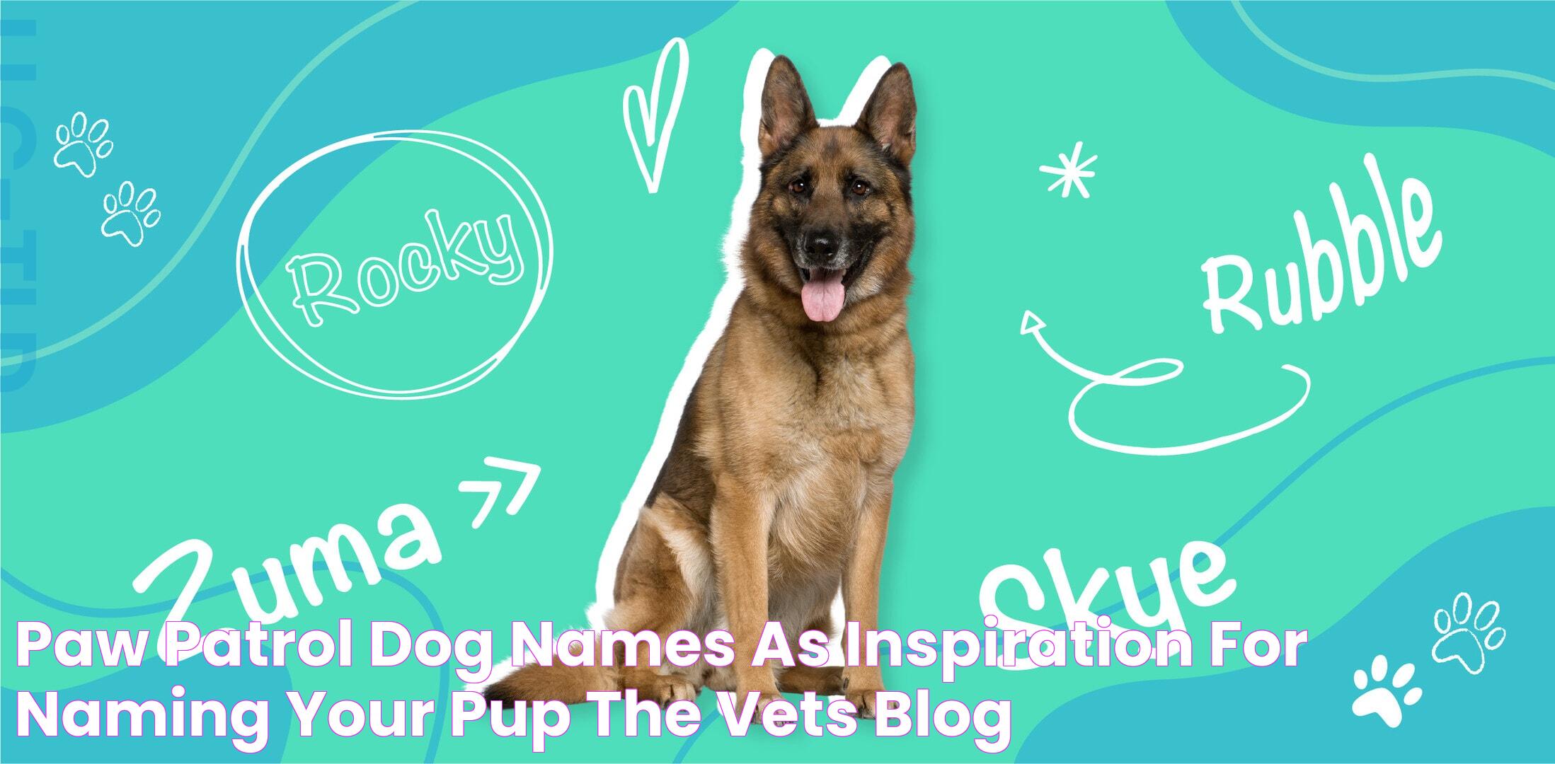 Paw Patrol Dog Names as Inspiration for Naming Your Pup The Vets Blog