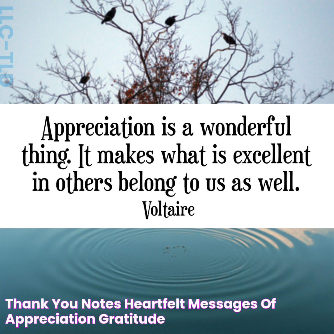 Thank You Notes Heartfelt Messages of Appreciation & Gratitude