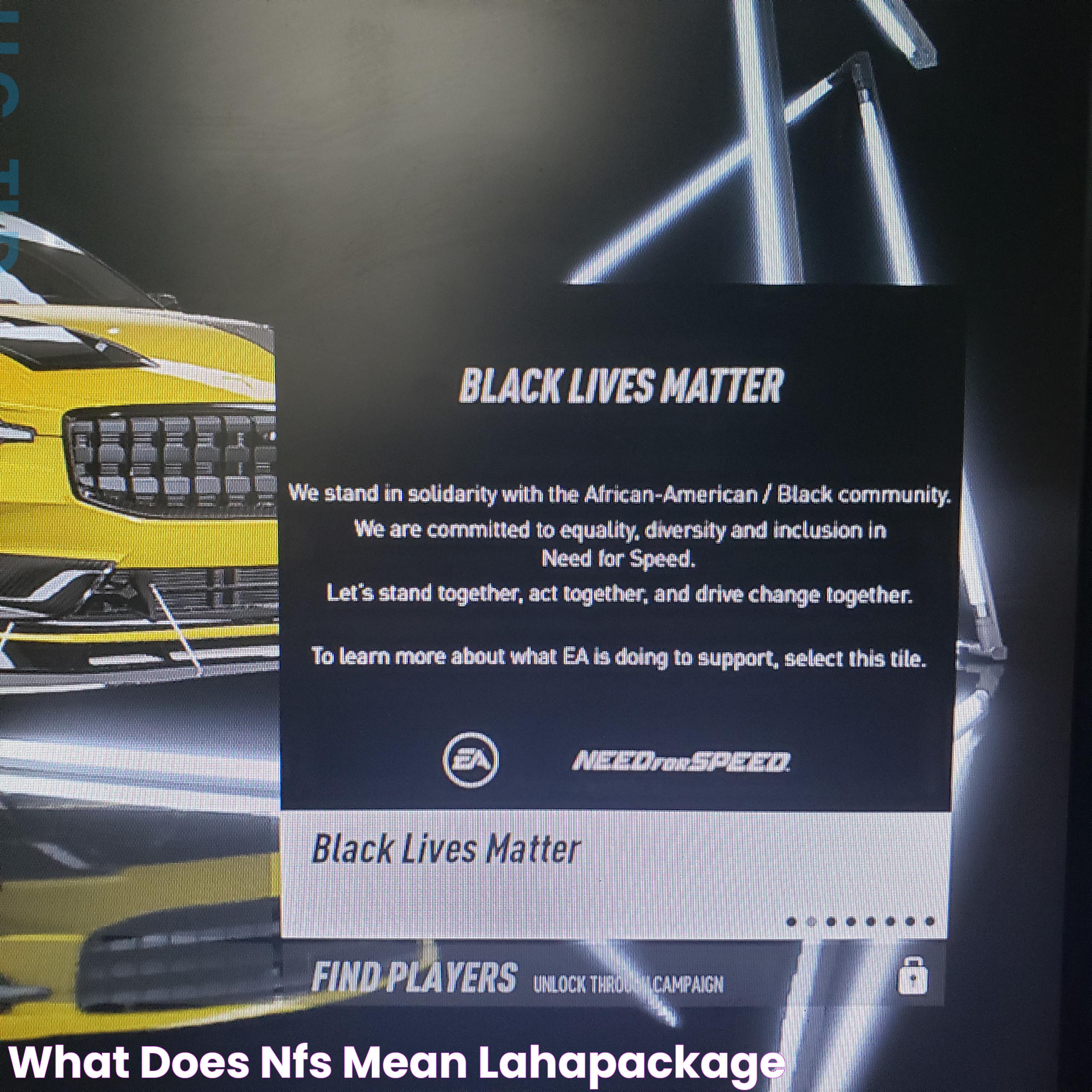 What does nfs mean lahapackage