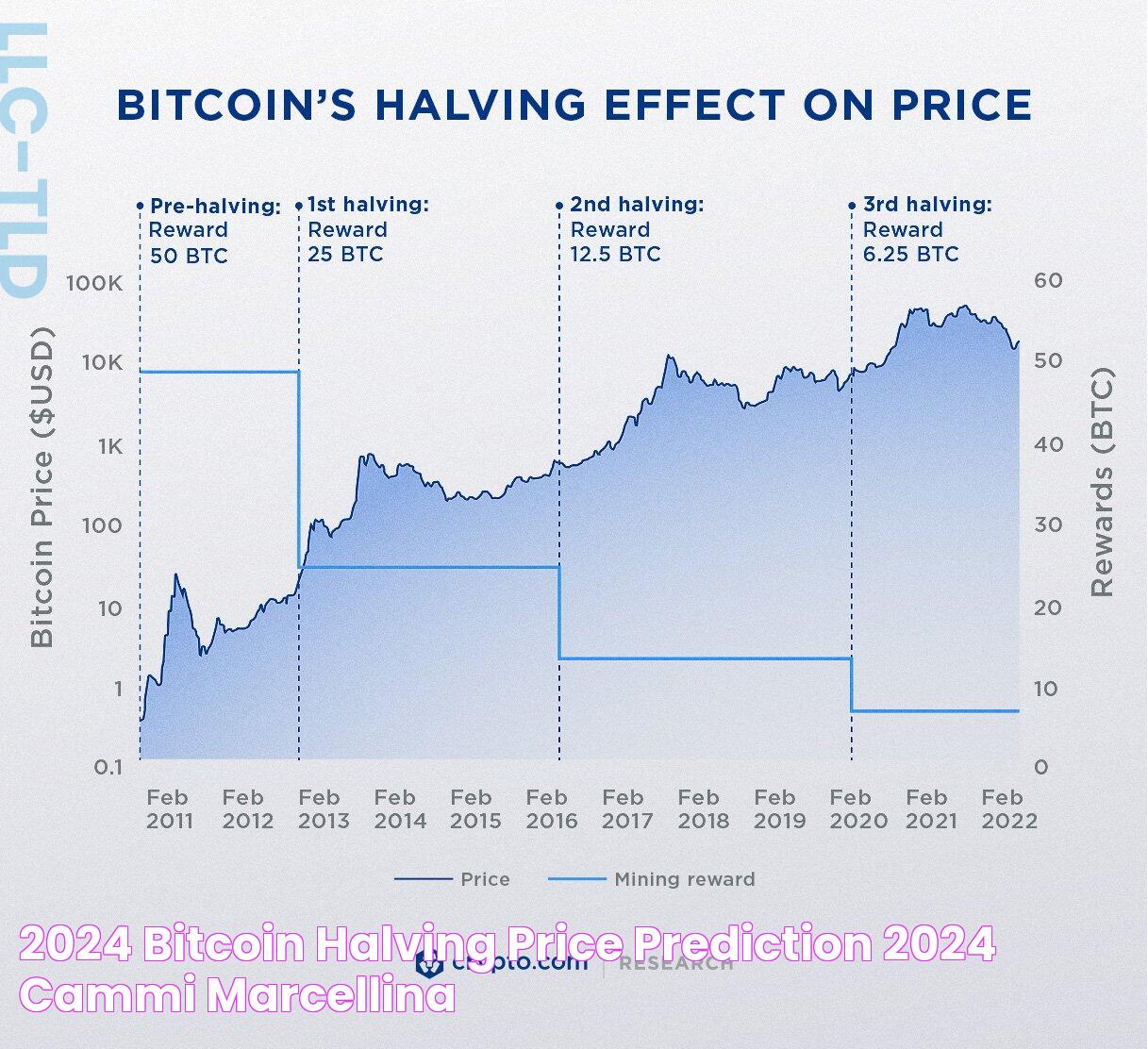 2024 Bitcoin Halving Price Prediction 2024 Cammi Marcellina