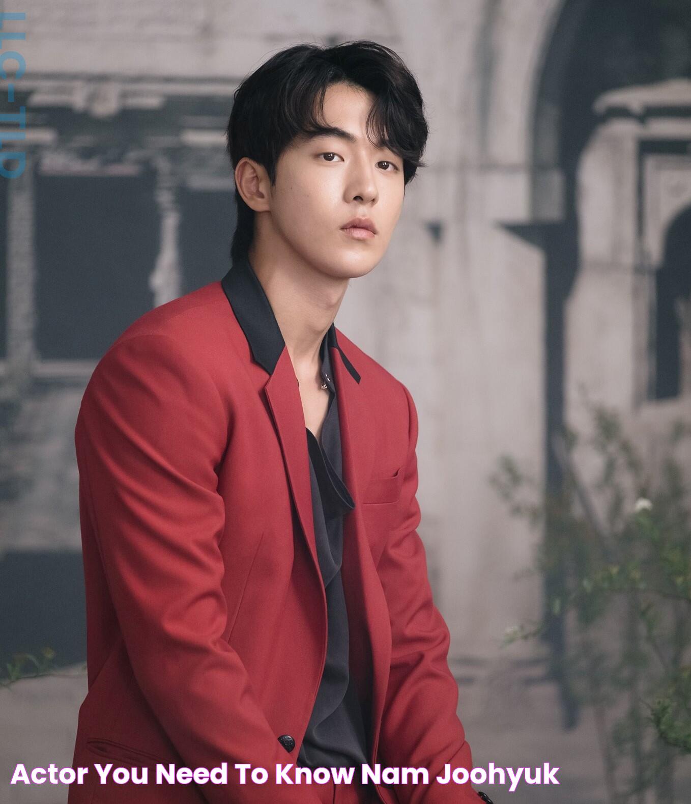 Actor You Need to Know Nam Joohyuk