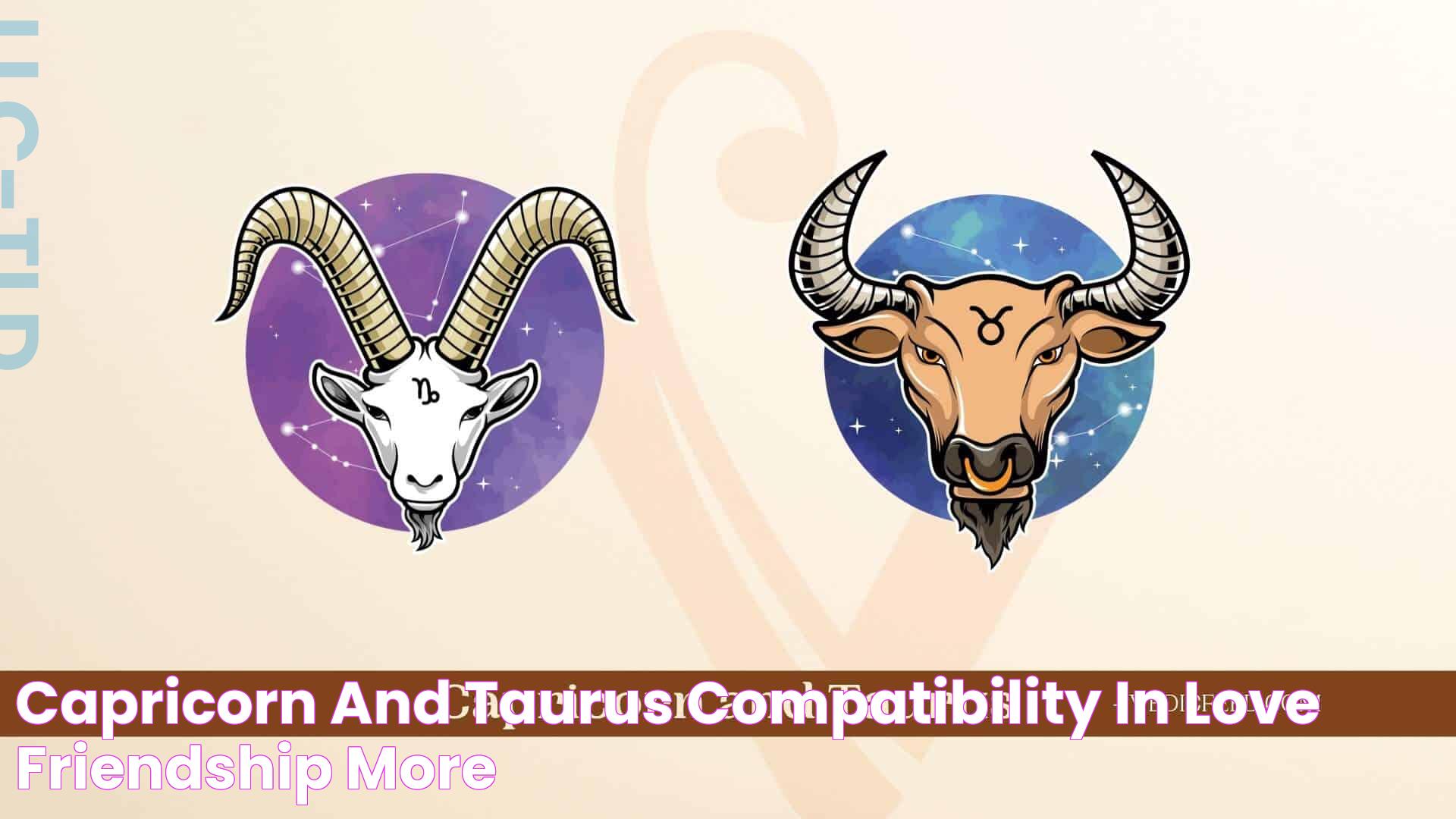 Capricorn and Taurus Compatibility In Love, Friendship & More