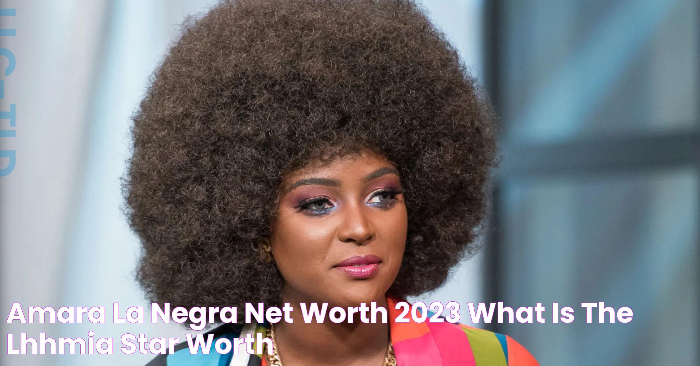 Amara La Negra Net Worth 2023 What Is The "LHHMIA" Star Worth?