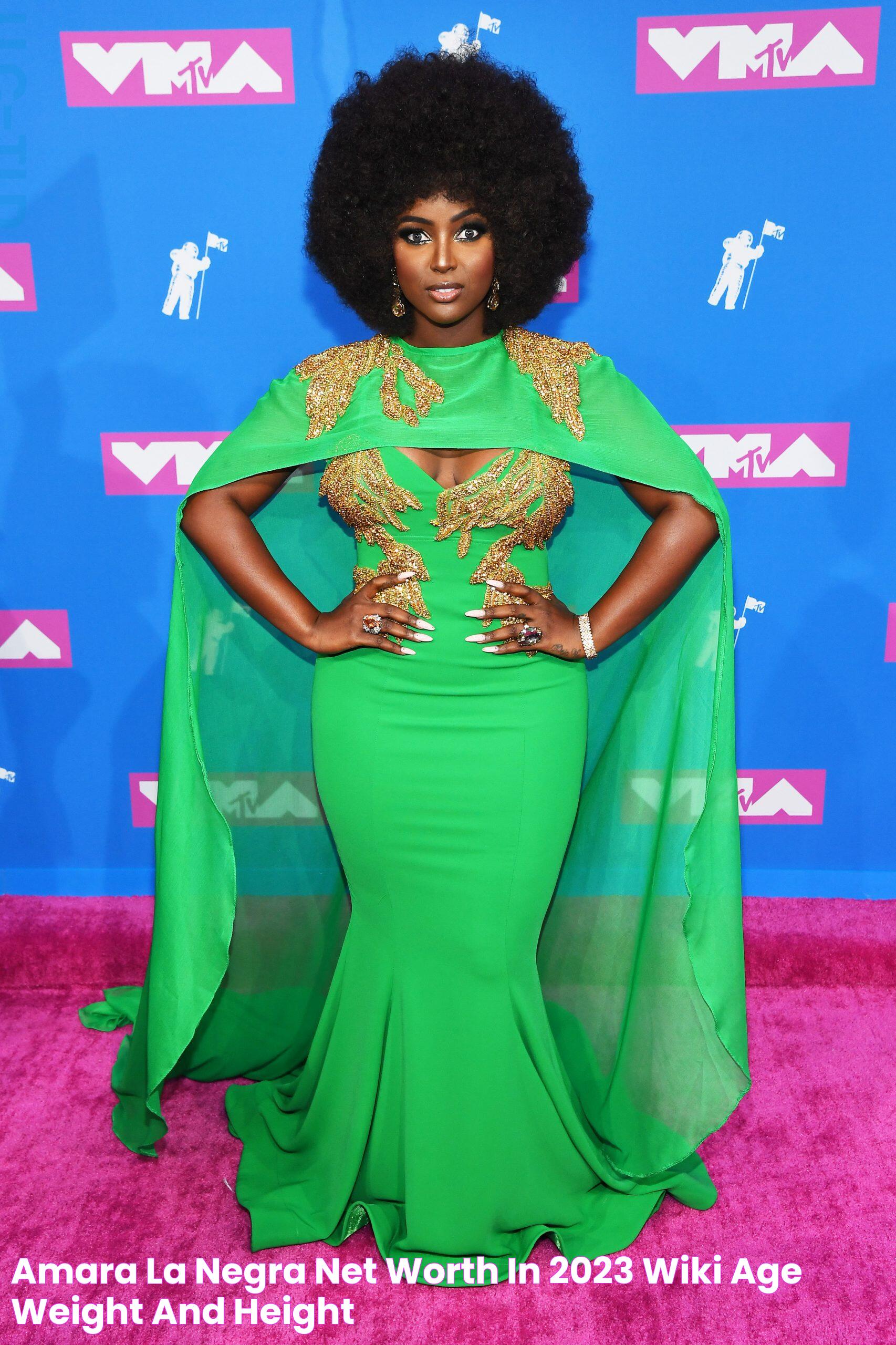 Amara La Negra Net Worth in 2023 Wiki, Age, Weight and Height