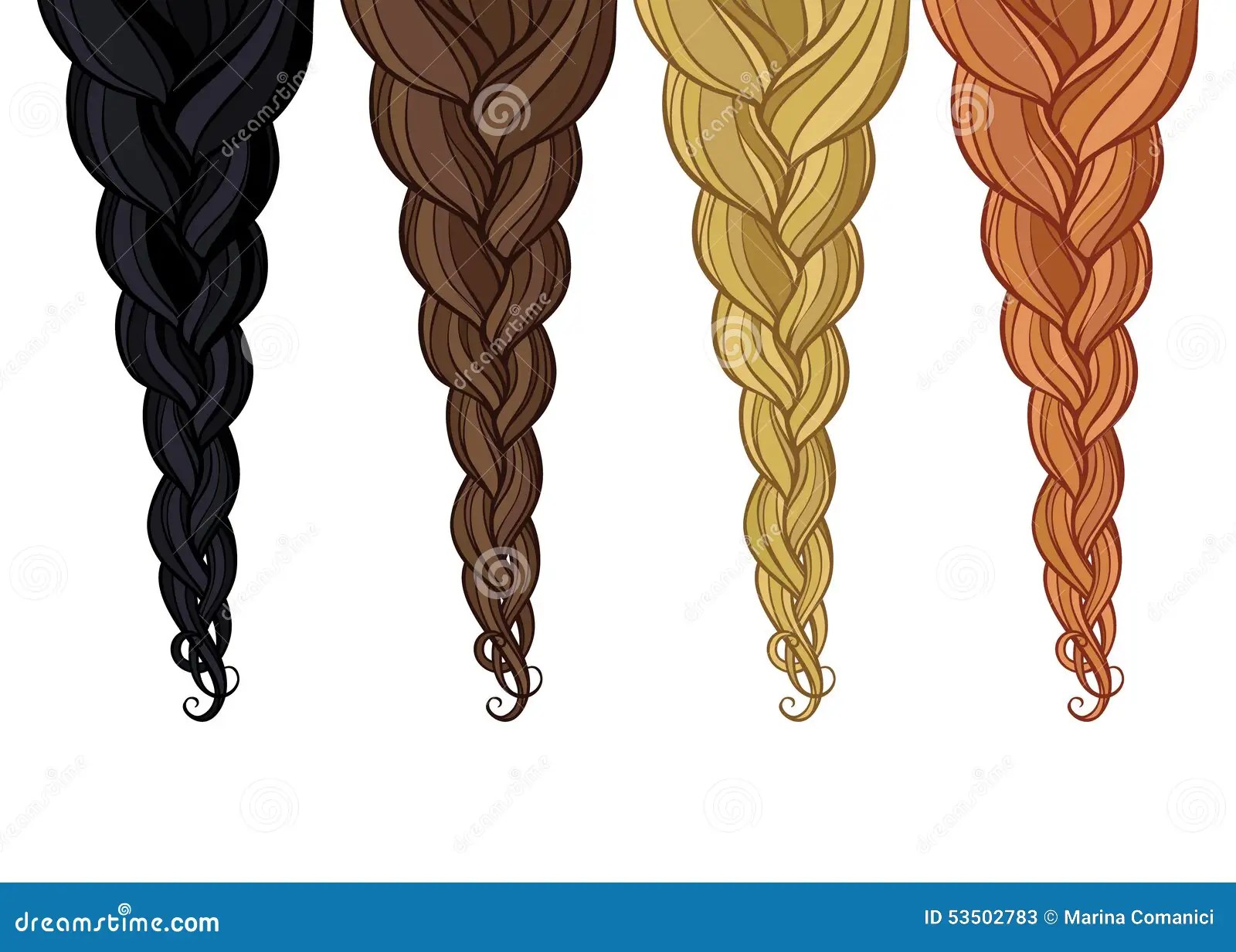 Braid of hair stock vector. Illustration of curled, redhead 53502783