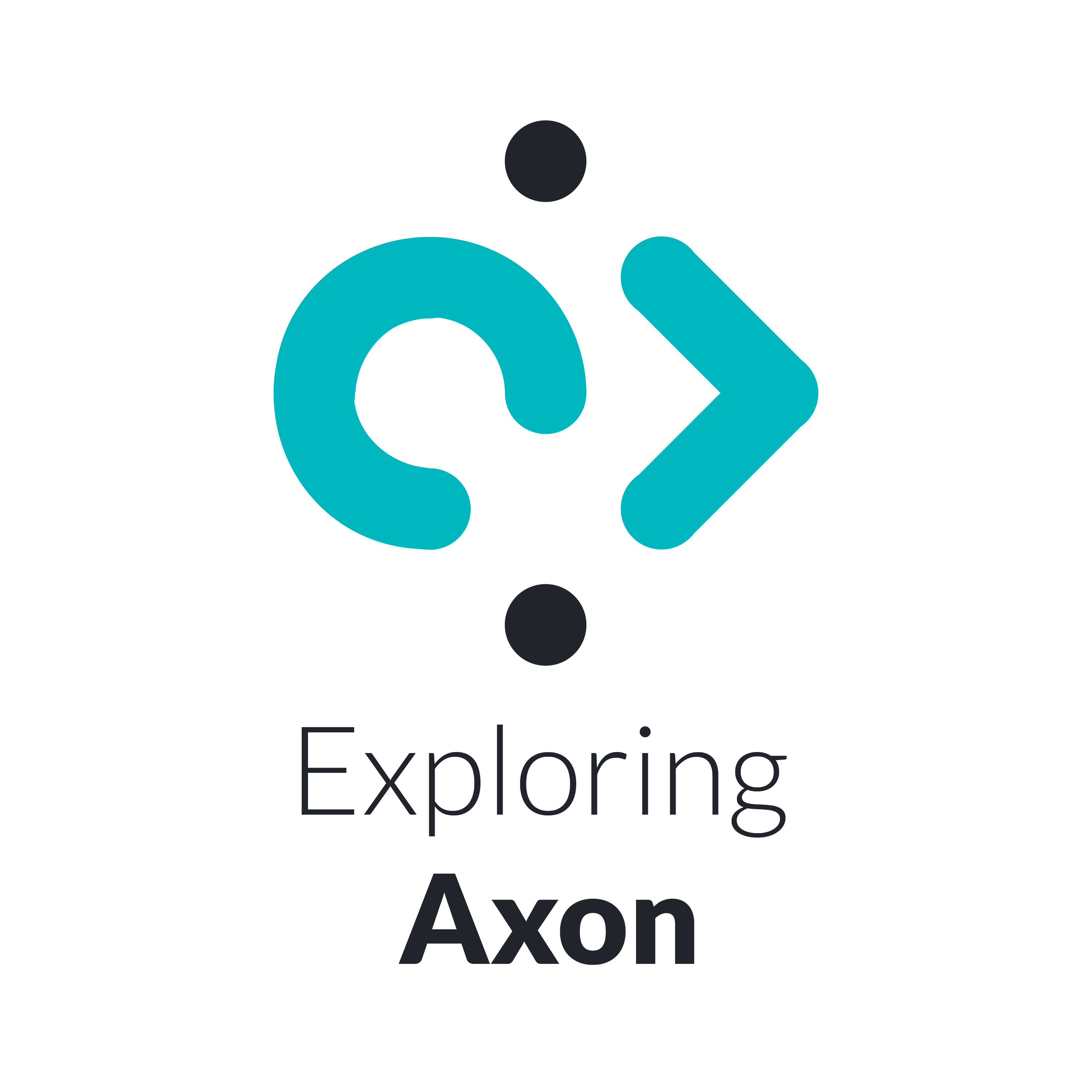 Introducing ”Inspector Axon” Exploring Axon