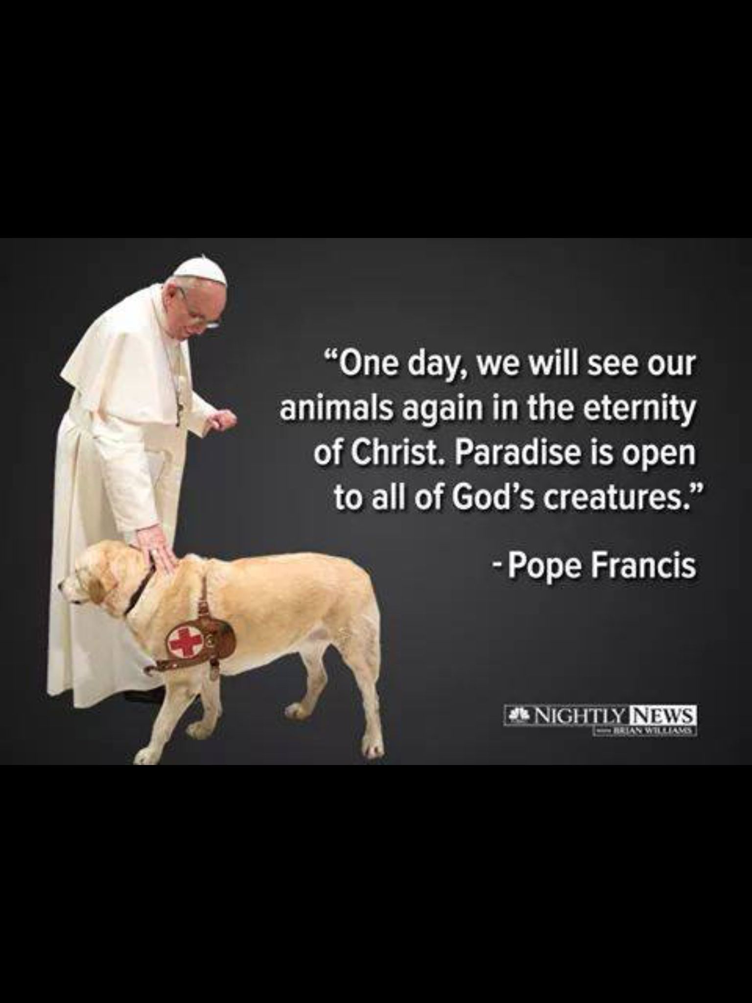 Prayer For Pets Who Died St Francis Pets Animals US