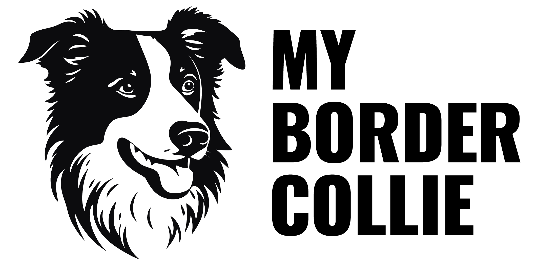 The History Of Border Collies A Fascinating Journey of Exceptional