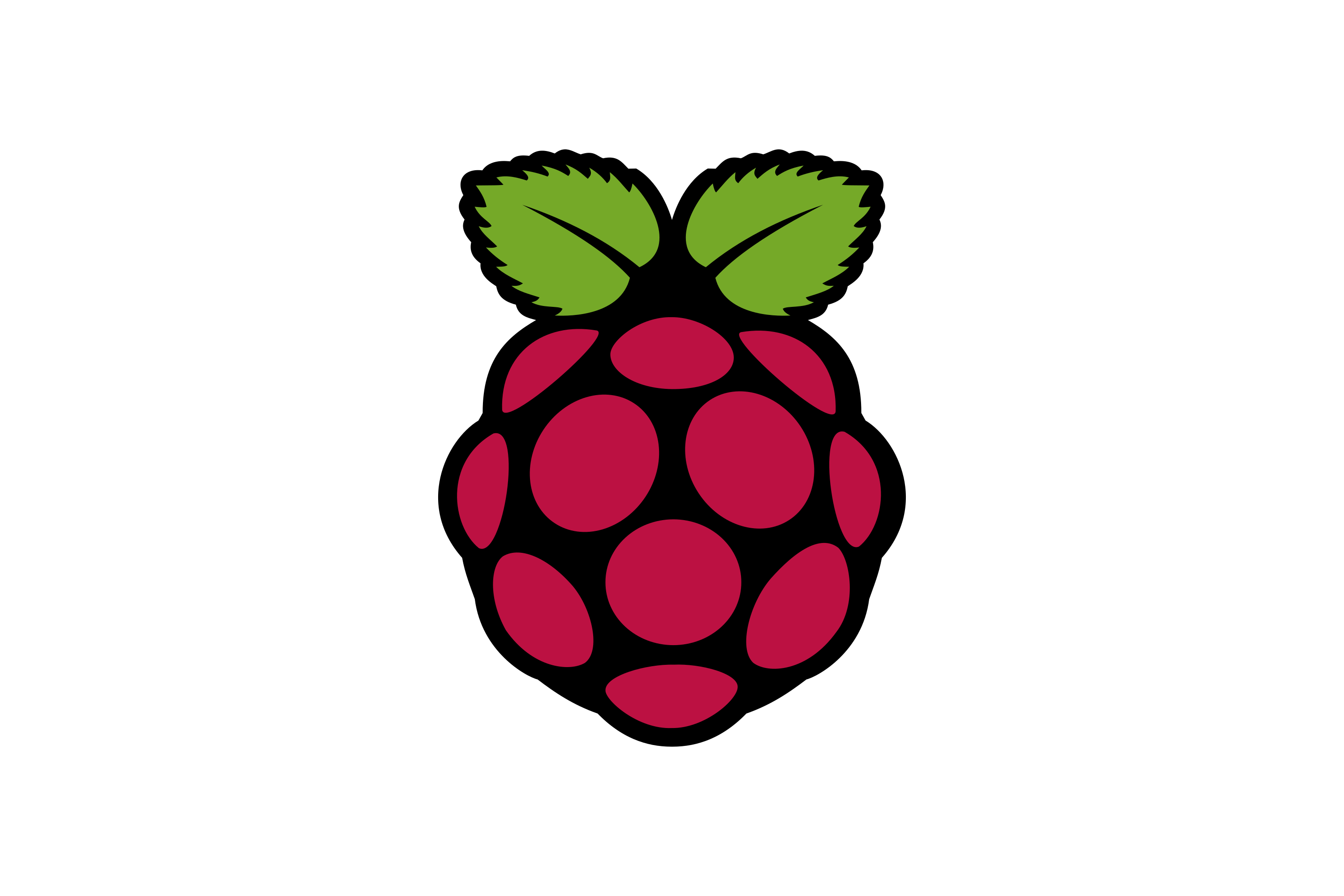 Download Raspberry Pi Logo in SVG Vector or PNG File Format Logo.wine