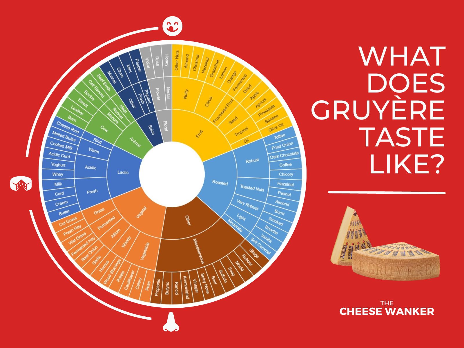 What does Gruyère Cheese Taste Like? (Authentic Flavour Wheel)