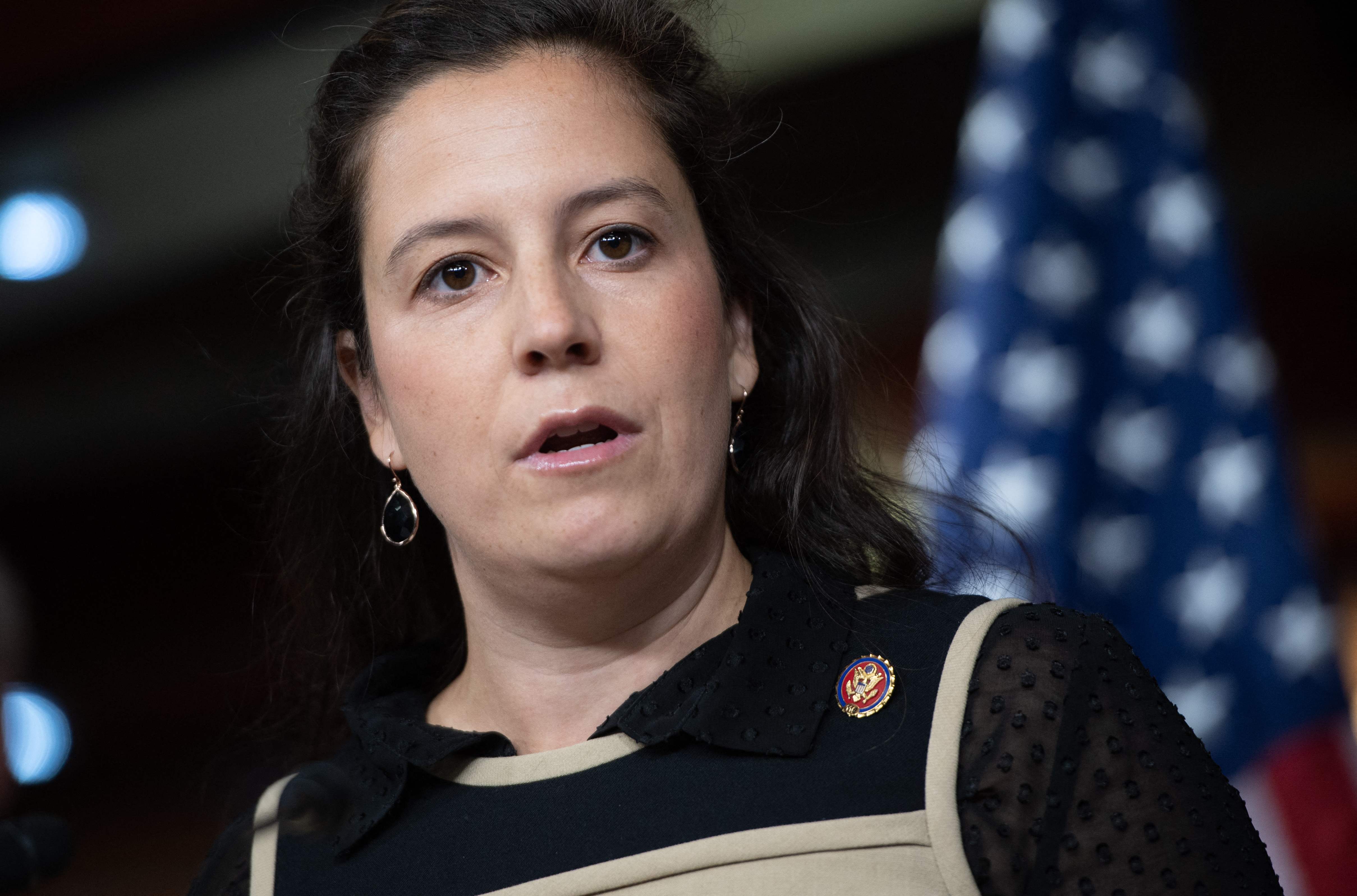 Did Elise Stefanik attend Harvard University? The US Sun