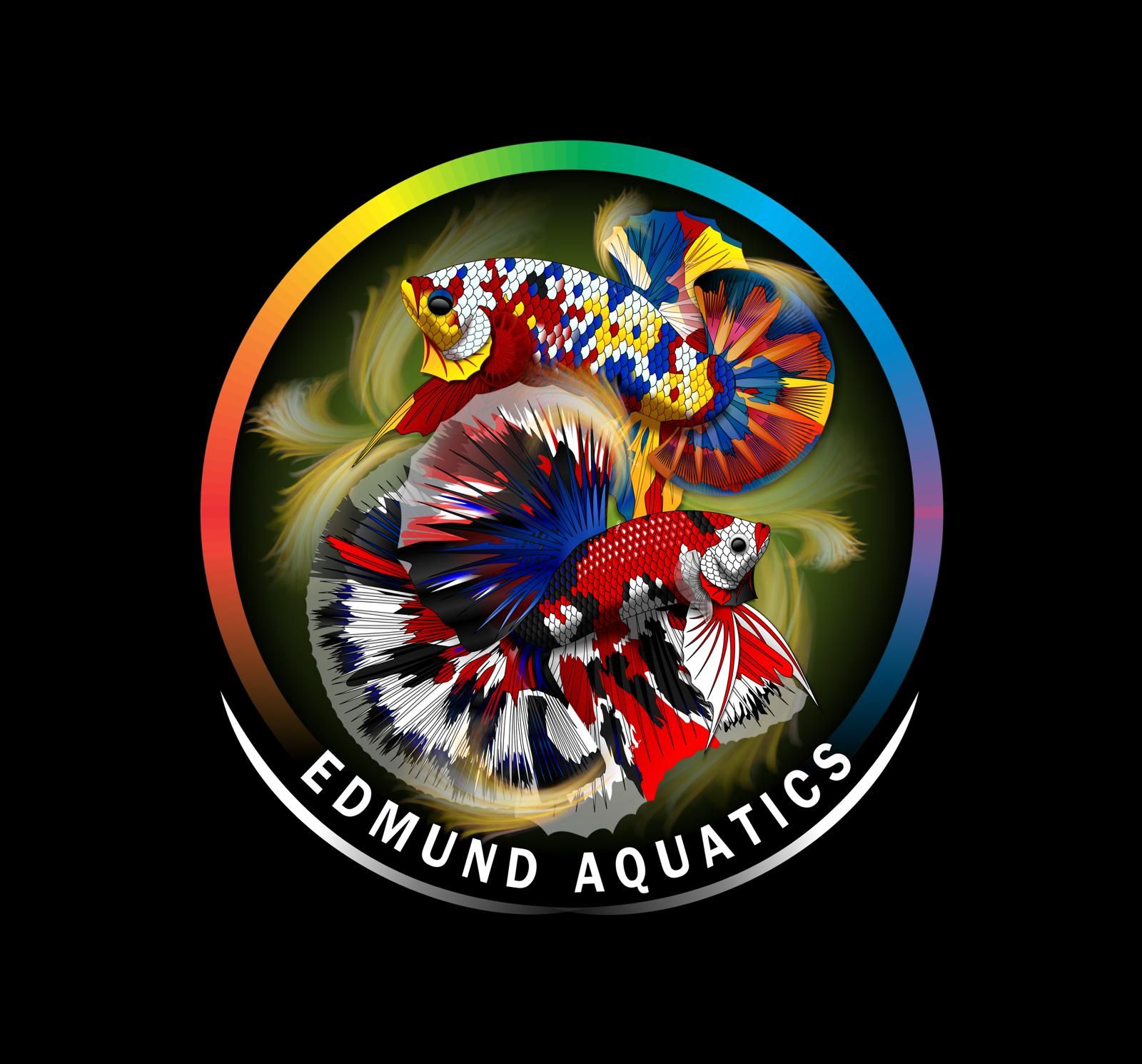 Edmund Aquatics Your Trusted Shop for Betta Fish