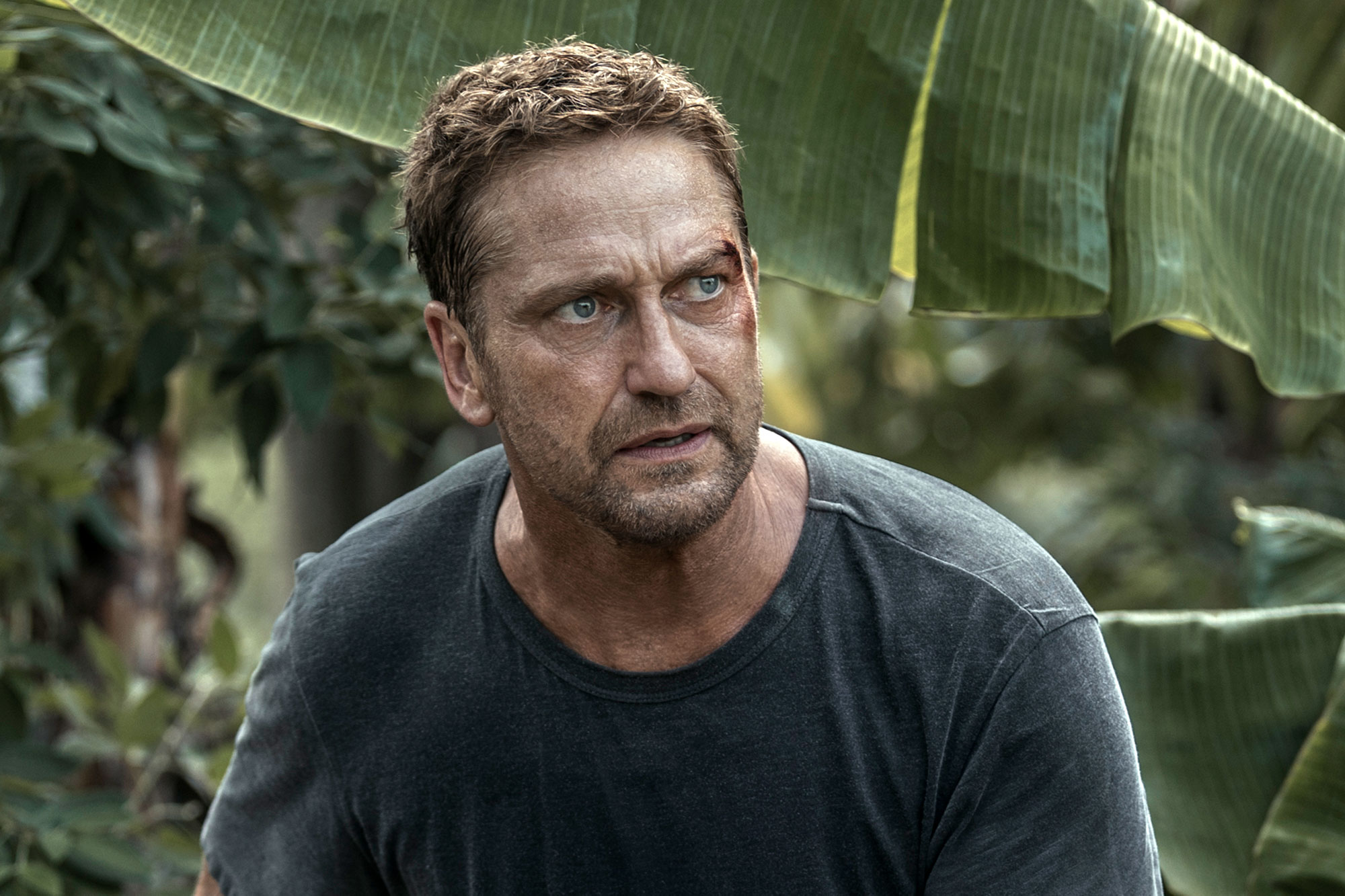 Gerard Butler Younger Brother