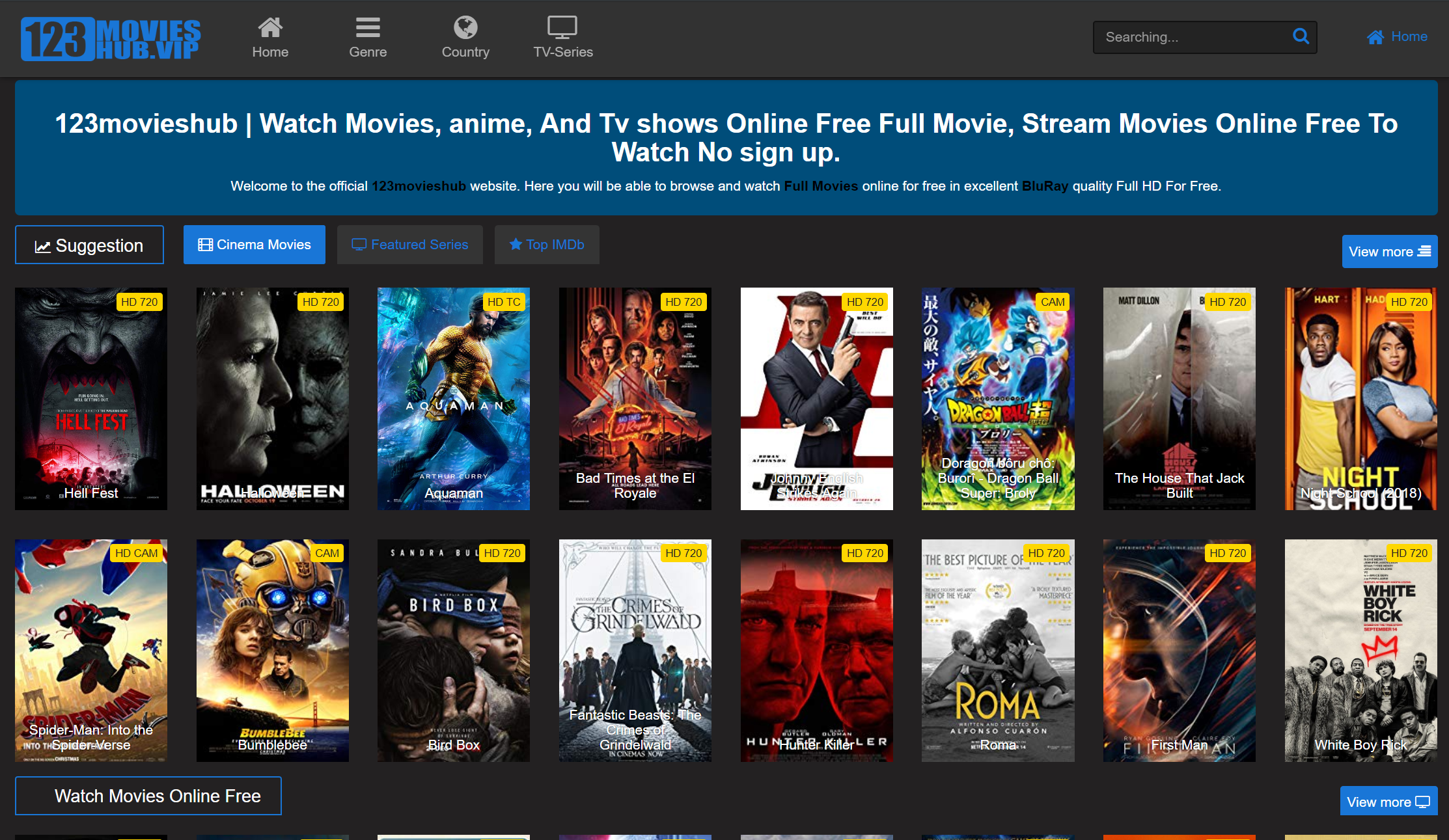 How to download tv shows and movies to watch offline free hopucreations