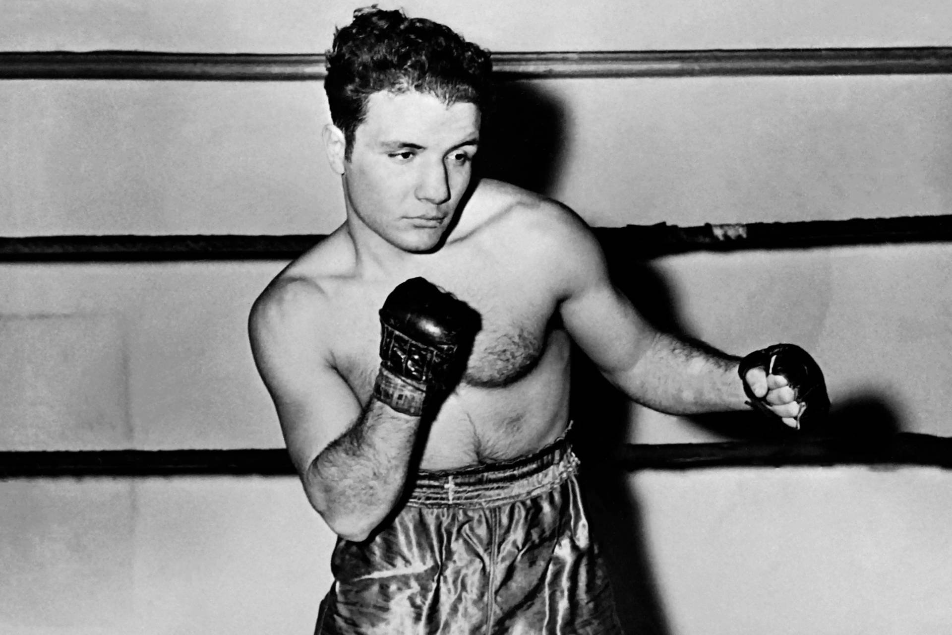 [100+] Jake Lamotta Wallpapers