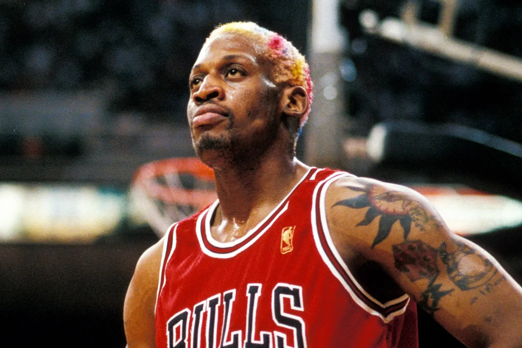 Dennis Rodman Net Worth The Success Bug