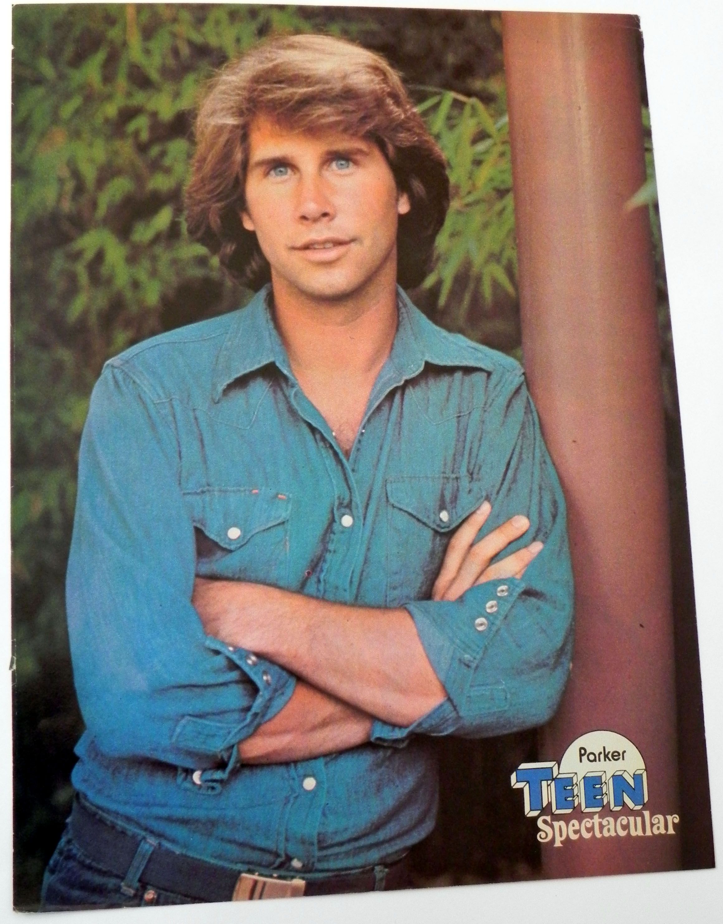 Pictures of Parker Stevenson