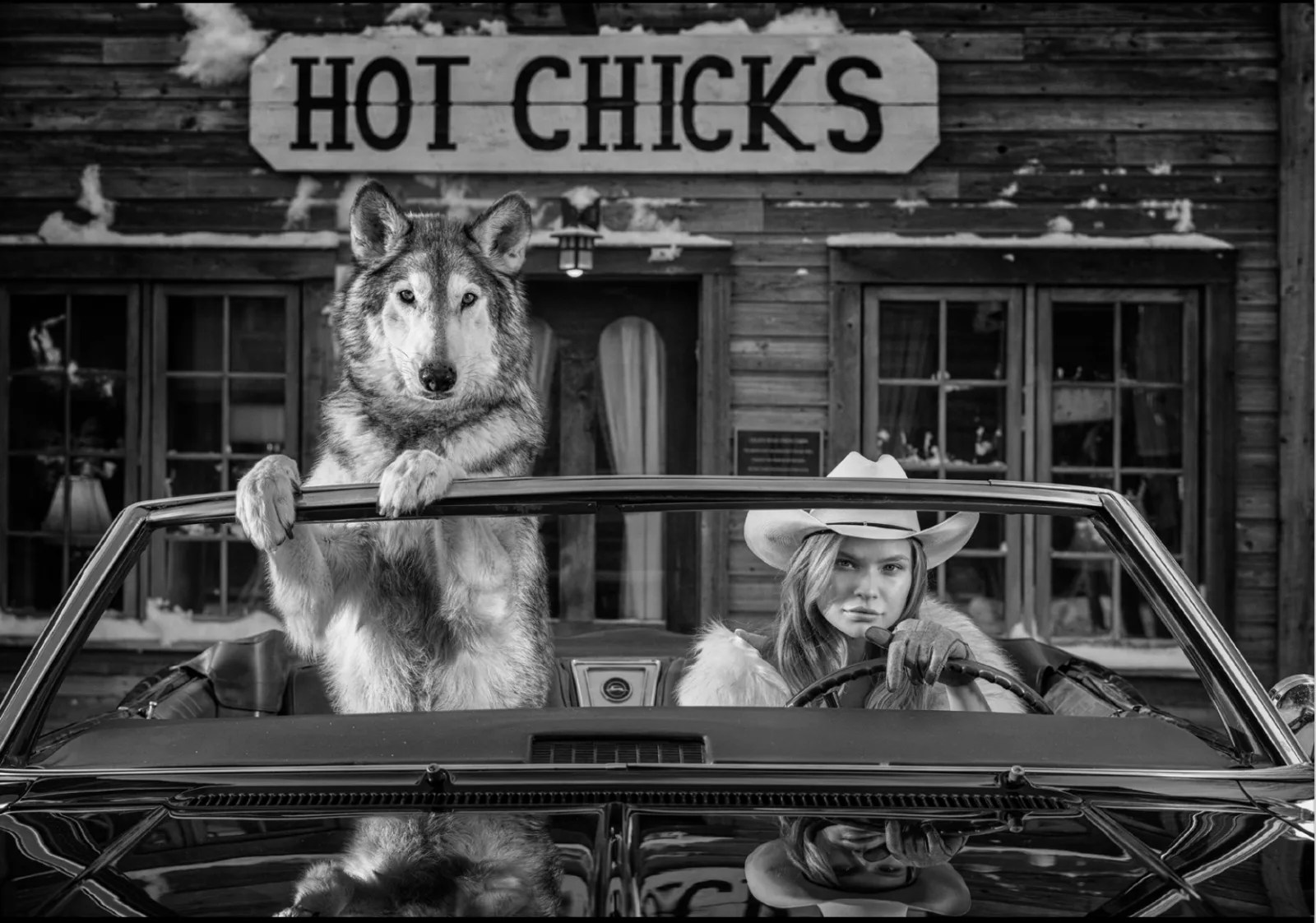 David Yarrow, Hot Chicks, 2022 CasterlineGoodman Gallery