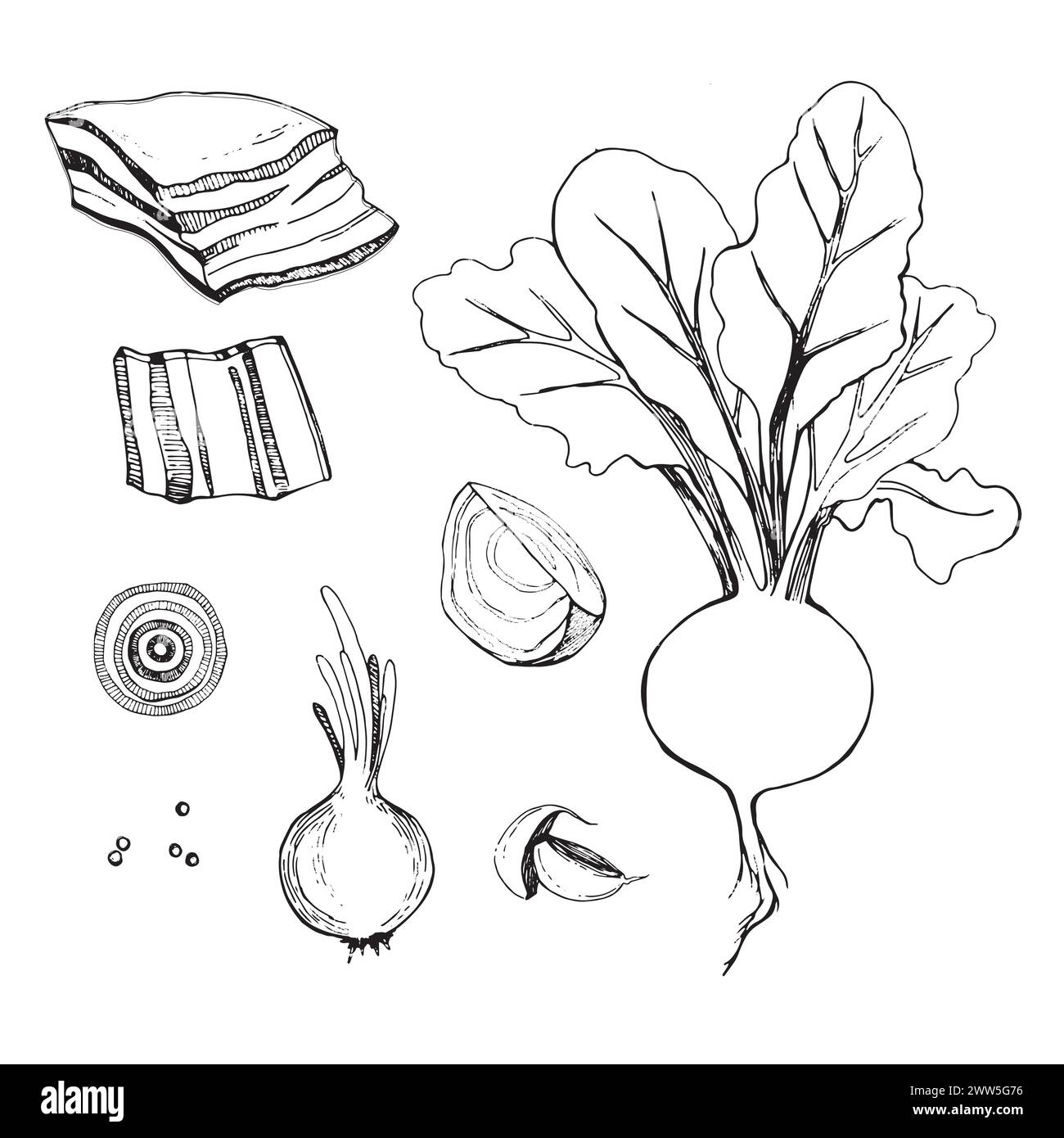 Set of vector illustrations. Beets with tops, a slice of beets, onions